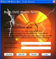 Burn DVD Movie Now screenshot